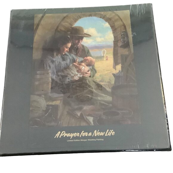 A Prayer for A New Life by Morgan Weistling 300 Piece Puzzle Focus on the Family - Picture 1 of 4